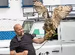 Birds of Prey 2023 cropped