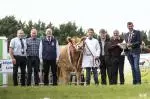 Well Done to the Oldcastle All Ireland Beef Bullock sponsored by Carnaross Mart winners the Barnett Family from Co.Donegal