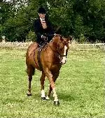 293688127_1920460138122894_773796923023737025_n